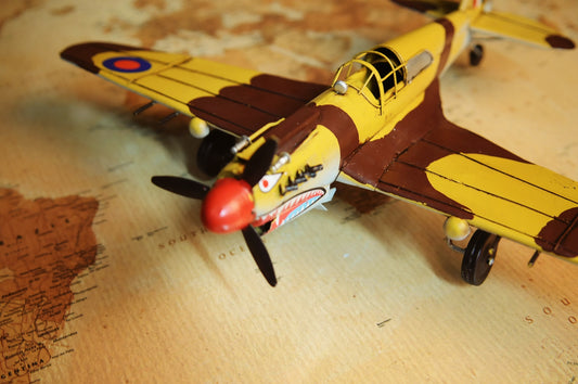 1941 Curtiss Hawk 81A 1:29